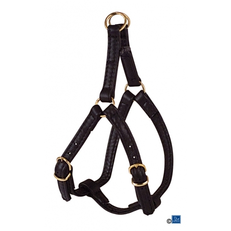 ARNÉS LEVRIERS NEGRO
