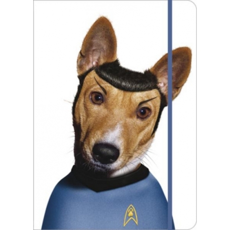 LIBRETA PET ROCK GRANDE