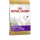 BICHON MALTES ADULT 24
