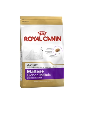 BICHON MALTES ADULT 24