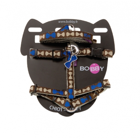 ARNÉS Y CORREA CACHORRO BOY