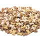 GALLETAS MOLY CACHORRO