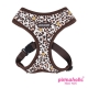 ARNES LEOPARDO
