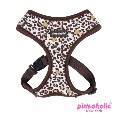 ARNES LEOPARDO