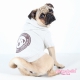 SUDADERA MY PUG OATMEAL